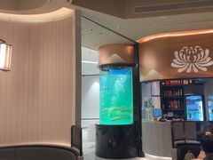 -谭厨中山传家菜.乳鸽.脆鲩鱼(华强北中航城店)