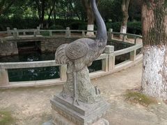 -白马涧龙池景区
