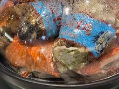 -半岛听涛蒸汽海鲜自助(K11店)