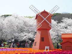 -苏州上方山国家森林公园