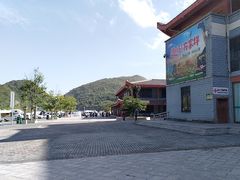 -贵州百里杜鹃风景名胜区