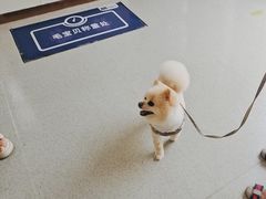 -宠颐生宠物医院·异宠猫科内科·诊疗中心宠巢店
