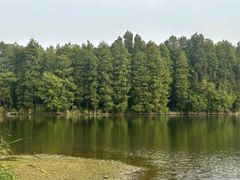 -东湖落雁景区