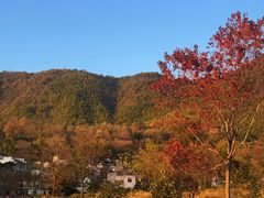 -塔川景区
