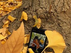 -河南省黄河迎宾馆