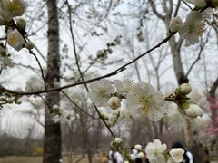 -国家植物园