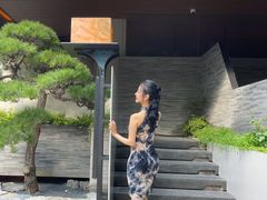-苏帮袁Sue Cuisine(将台店)