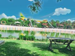 -苏州太湖西山岛开心农场