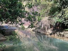 -广州白江湖森林公园