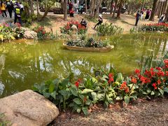 -人民公园(罗湖区)