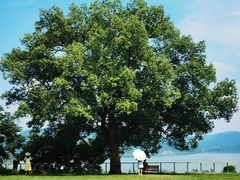 -东钱湖旅游度假区