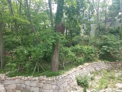 -青岛崂山太清宫