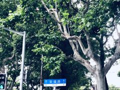 -RAC BAR(安福路店)