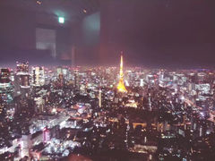 -六本木新城展望台(东京城市景观)