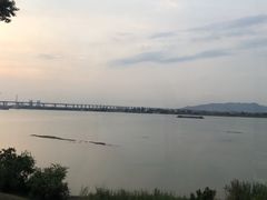 -八仔大富楼·河鲜(西江店)