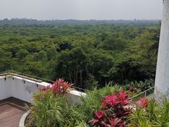 -东寨港红树林旅游区