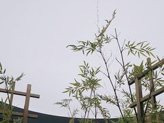 -江南里·新浙菜(苏州大悦城店)