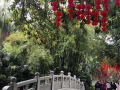 -人民公园(罗湖区)