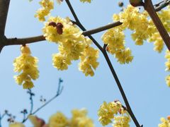 -白塘生态植物园