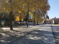 -元大都城垣遗址公园