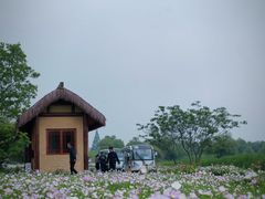 -良渚古城遗址公园