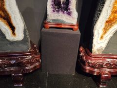 -烟台自然博物馆