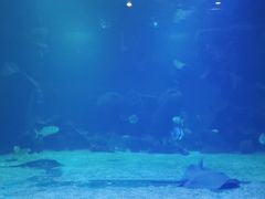 -石家庄海洋公园