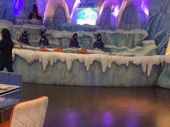 -帝企鹅自助餐厅•儿童岛•真企鹅(长隆企鹅酒店)