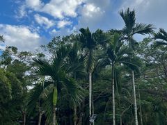 -七仙岭温泉国家森林公园