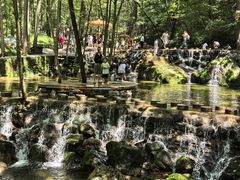 -牛背梁国家森林公园