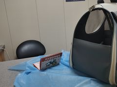 -创凡宠物医院·骨专科  猫科中心(西乡分院)