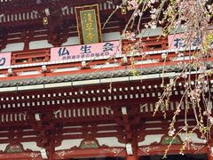 -浅草寺