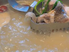 -打酱友•斑鱼海鲜粥火锅(吴桥店)