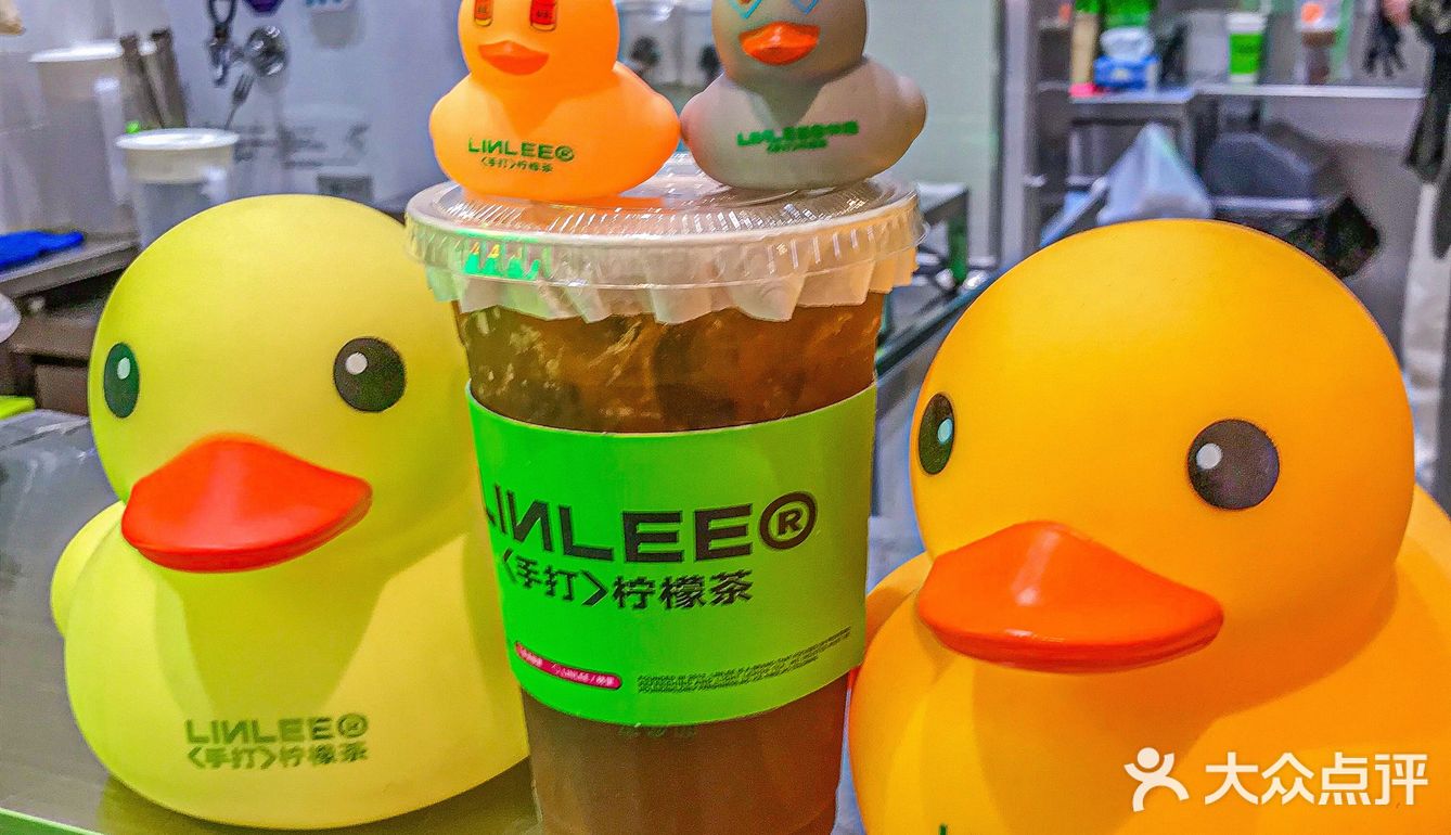 谁能拒绝的了可爱的鸭鸭[调皮][调皮]