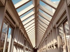 -上海明天广场JW万豪酒店