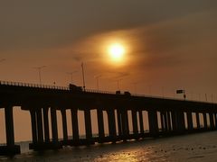 -宝安西湾红树林湿地公园