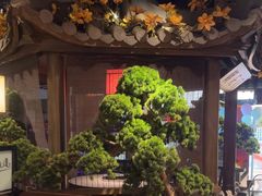 -重庆德庄火锅(映月湖环宇城店)