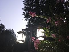 -宣武艺园