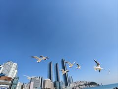 -海云台海滩