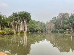 -中国科学院西双版纳热带植物园