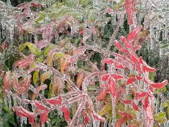 -崇阳三特浪口温泉