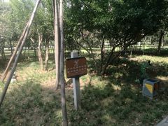-唐城墙遗址公园
