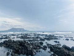 -涉地可支