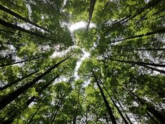-山王坪喀斯特国家生态公园