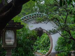 -广州兰圃