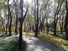 -玲珑塔公园