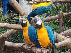 -上海动物园(地铁站)