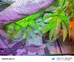 -酷嗒动物文化乐园(cutezoo西溪乐天城店)