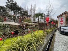 -青城甲(青城山店)