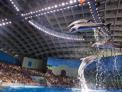 -海合安武汉极地海洋公园